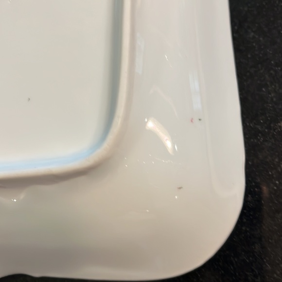 Gorgeous decorative plate by Porzellanfabrik Moschendorf Bavaria - Picture 11 of 12